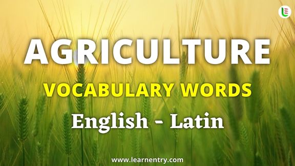 Agriculture vocabulary words in Latin and English - Common Latin Vocabulary