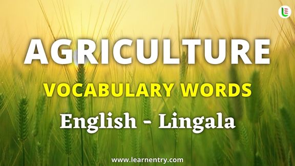 Agriculture vocabulary words in Lingala and English - Common Lingala Vocabulary