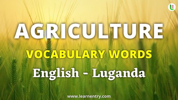 Agriculture vocabulary words in Luganda and English - Common Luganda Vocabulary