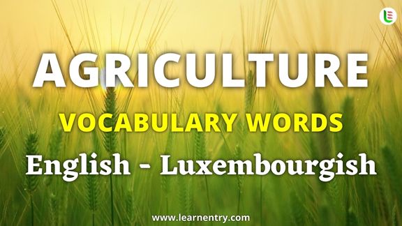 Agriculture vocabulary words in Luxembourgish and English - Common Luxembourgish Vocabulary