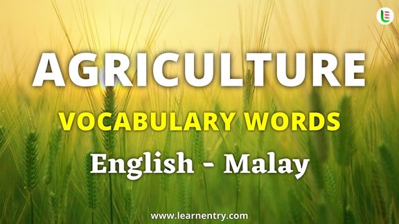 Agriculture vocabulary words in Malay and English - Common Malay Vocabulary