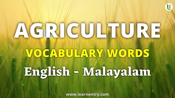 Agriculture vocabulary words in Malayalam and English - Common Malayalam Vocabulary