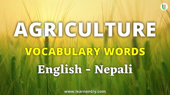 Agriculture vocabulary words in Nepali and English - Common Nepali Vocabulary