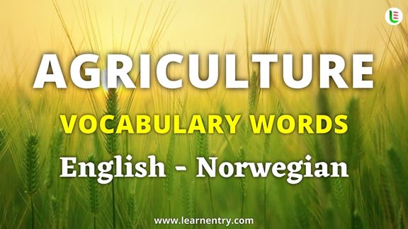 Agriculture vocabulary words in Norwegian and English - Common Norwegian Vocabulary