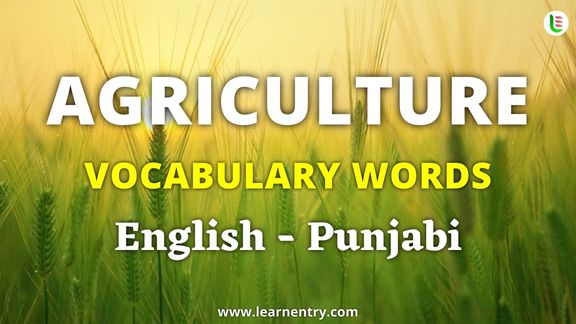 Agriculture vocabulary words in Punjabi and English - Common Punjabi Vocabulary