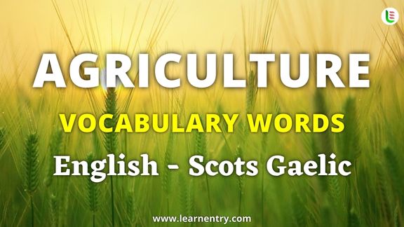 Agriculture vocabulary words in Scots gaelic and English - Common Scots gaelic Vocabulary
