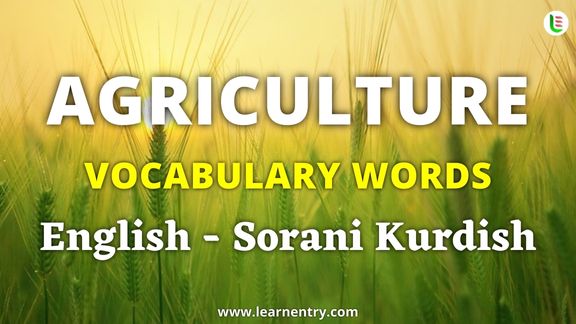 Agriculture vocabulary words in Sorani kurdish and English - Common Sorani kurdish Vocabulary