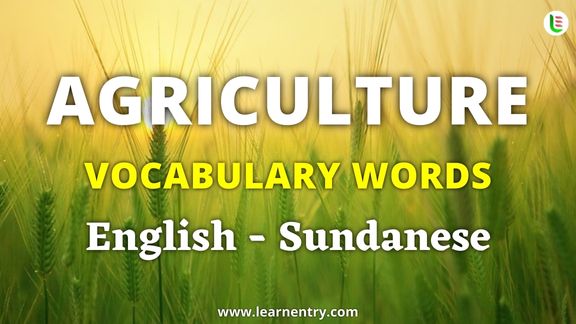 Agriculture vocabulary words in Sundanese and English - Common Sundanese Vocabulary