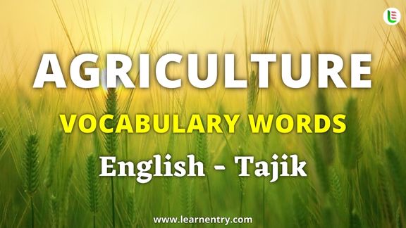 Agriculture vocabulary words in Tajik and English - Common Tajik Vocabulary
