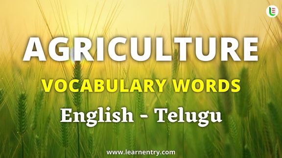 Agriculture vocabulary words in Telugu and English - Common Telugu Vocabulary