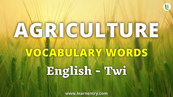 Agriculture vocabulary words in Twi and English - Common Twi Vocabulary