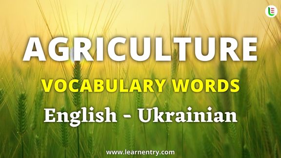 Agriculture vocabulary words in Ukrainian and English - Common Ukrainian Vocabulary
