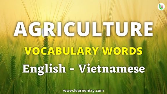 Agriculture vocabulary words in Vietnamese and English - Common Vietnamese Vocabulary