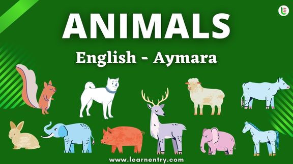 Animals names in Aymara and English - Common Aymara Vocabulary