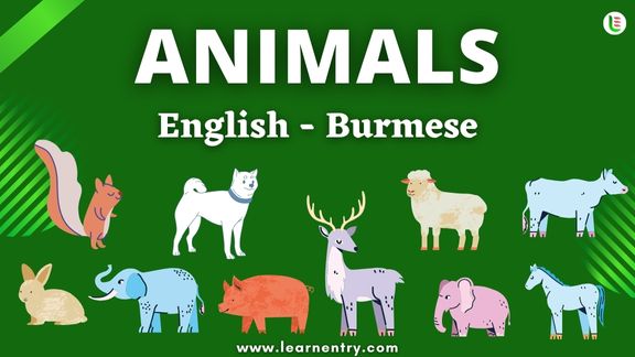 Animals names in Burmese and English - Common Burmese Vocabulary
