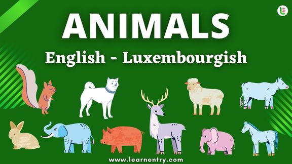 Animals names in Luxembourgish and English - Common Luxembourgish Vocabulary