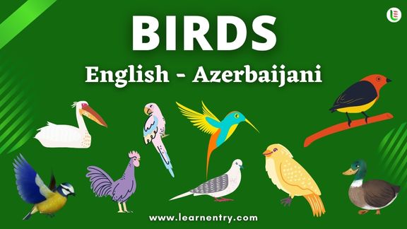 Birds names in Azerbaijani and English - Common Azerbaijani Vocabulary