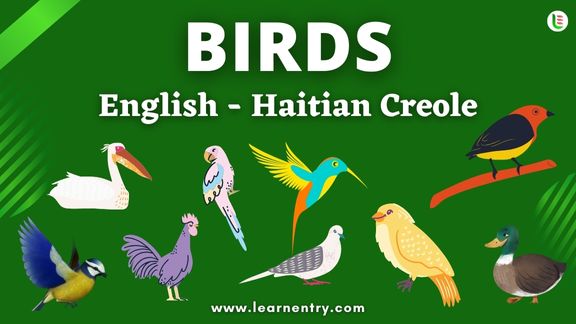 Birds names in Haitian creole and English