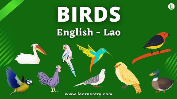 Birds names in Lao and English