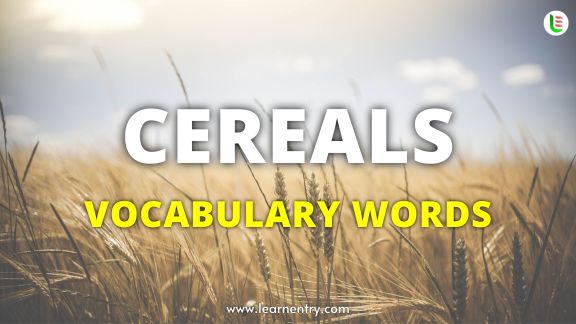 Cereals vocabulary words in English