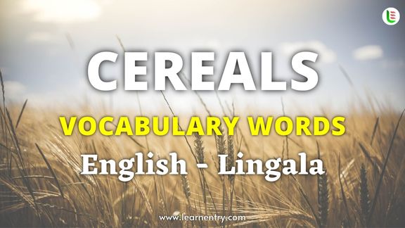 Cereals names in Lingala and English - Common Lingala Vocabulary