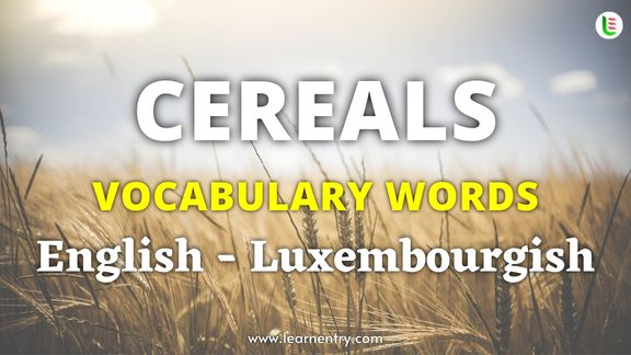 Cereals names in Luxembourgish and English - Common Luxembourgish Vocabulary