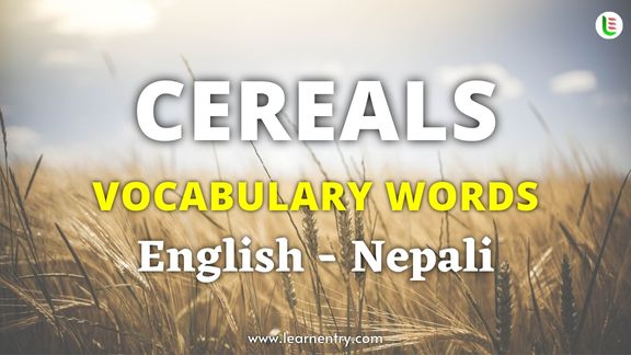 Cereals names in Nepali and English - Common Nepali Vocabulary