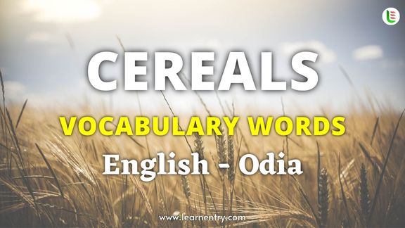 Cereals names in Odia and English - Common Odia Vocabulary