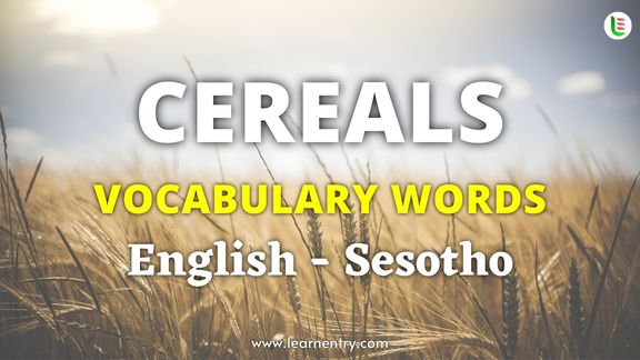 Cereals names in Sesotho and English - Common Sesotho Vocabulary
