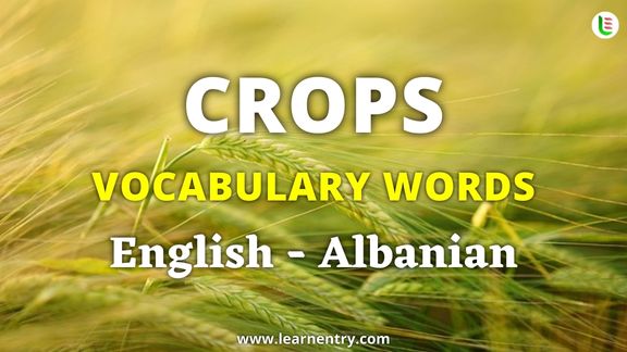 Crops vocabulary words in Albanian and English - Common Albanian Vocabulary