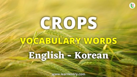 Crops vocabulary words in Korean and English - Common Korean Vocabulary