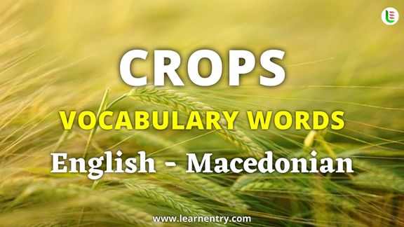 Crops vocabulary words in Macedonian and English - Common Macedonian Vocabulary