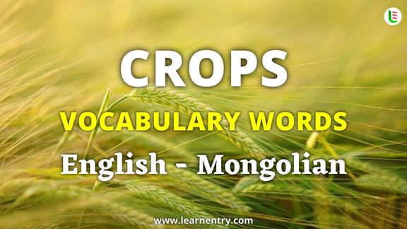 Crops vocabulary words in Mongolian and English - Common Mongolian Vocabulary