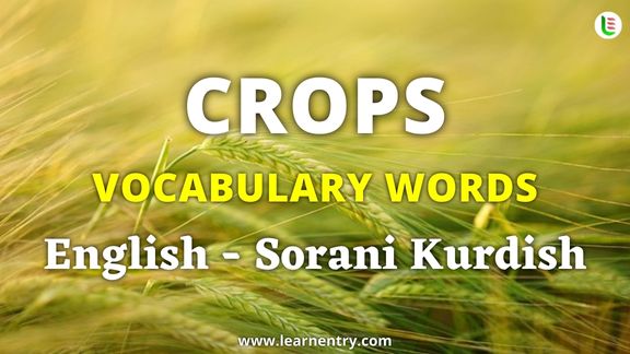 Crops vocabulary words in Sorani kurdish and English - Common Sorani kurdish Vocabulary