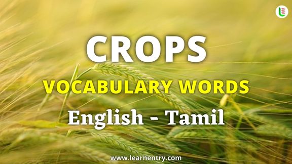 Crops vocabulary words in Tamil and English - Common Tamil Vocabulary