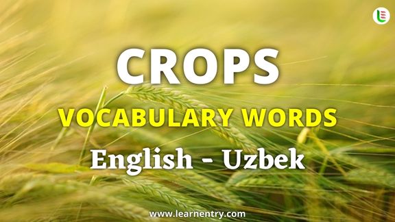 Crops vocabulary words in Uzbek and English - Common Uzbek Vocabulary