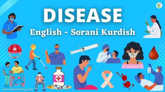 Disease names in Sorani kurdish and English - Common Sorani kurdish Vocabulary