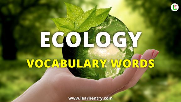 Ecology vocabulary words in English