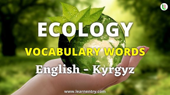 Ecology vocabulary words in Kyrgyz and English - Common Kyrgyz Vocabulary