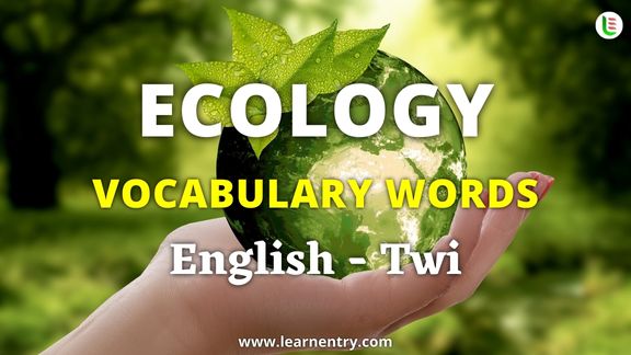 Ecology vocabulary words in Twi and English