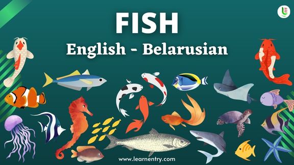 Fish names in Belarusian and English - Common Belarusian Vocabulary