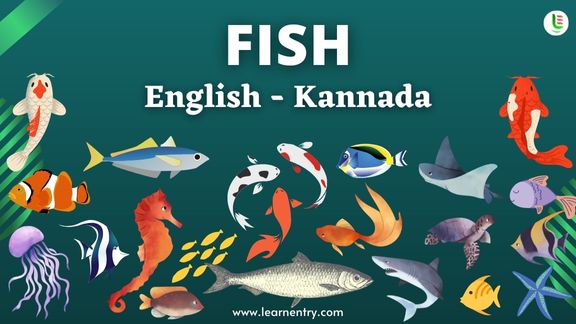 Fish names in Kannada and English - Common Kannada Vocabulary