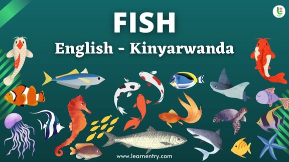 Fish names in Kinyarwanda and English