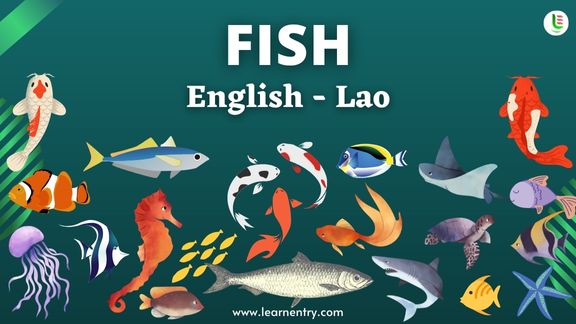 Fish names in Lao and English - Common Lao Vocabulary