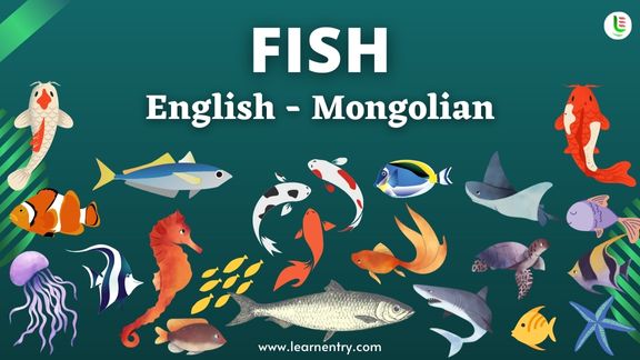 Fish names in Mongolian and English