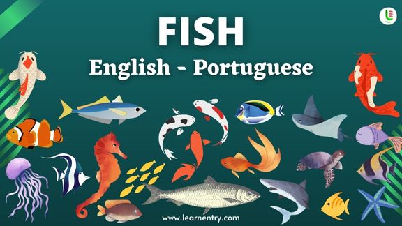 Fish names in Portuguese and English - Common Portuguese Vocabulary