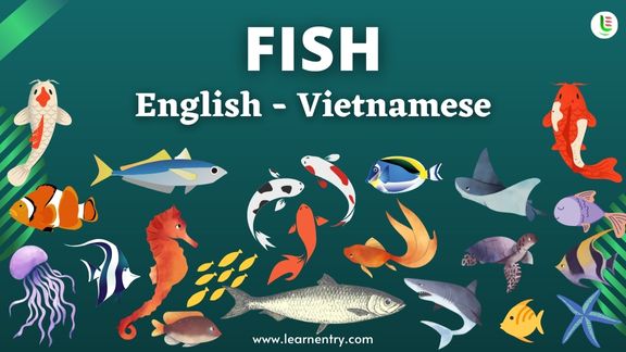Fish names in Vietnamese and English - Common Vietnamese Vocabulary