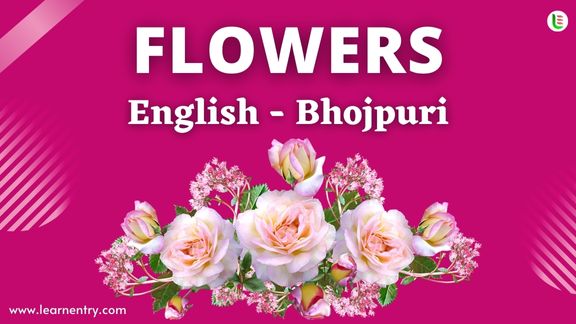 Flower names in Bhojpuri and English - Common Bhojpuri Vocabulary