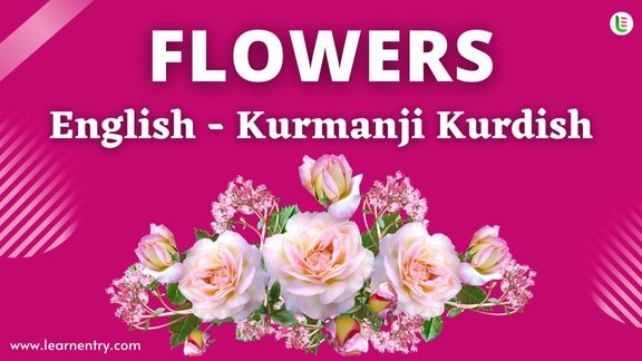 Flower names in Kurmanji kurdish and English