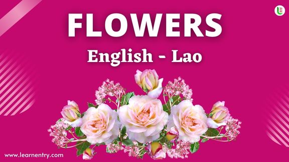 Flower names in Lao and English